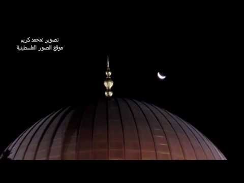 فيديو ملائكة تتنزّل على الأقصى في ليلة القدر