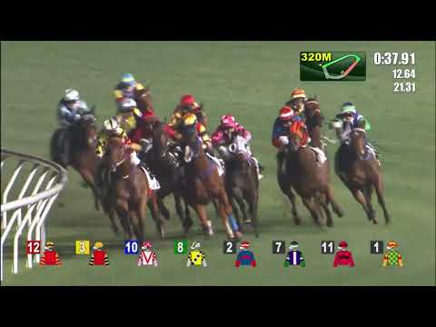 6/4/2022 (561) Multimore - Dylan Mo