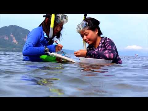 International Sustainable Development Studies Institute — video 6