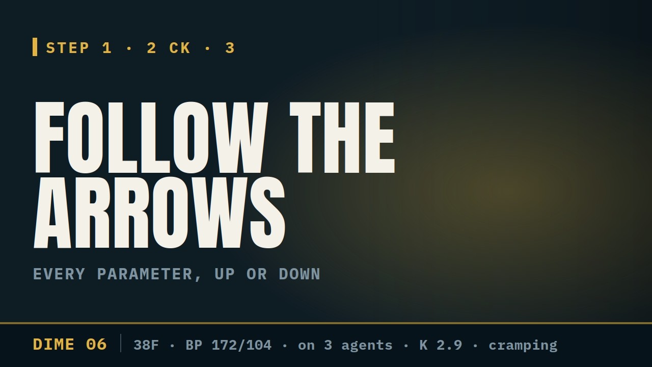 Follow The Arrows - Physiology (DIME #6) + New Book on Side Gigs In Medicine