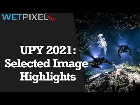 Selected Highlights of the 2021 Underwater Photographer of the Year Contest