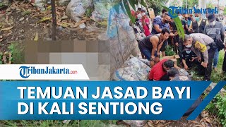 Temuan Jasad Janin Bayi di Kali Sentiong, Mengambang di Antara Tumpukan Sampah