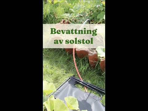Sun Lounger Watering - GardenHacks by GardenR