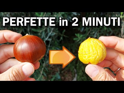CASTAGNE: ecco come PULIRLE IN 2 MINUTI , IL MIGLIOR TRUCCO SEMPLICE e GENIALE, FRUTTO  DI OTTOBRE