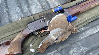 2022 Opening Week Dove Hunting Texas - ShotKam