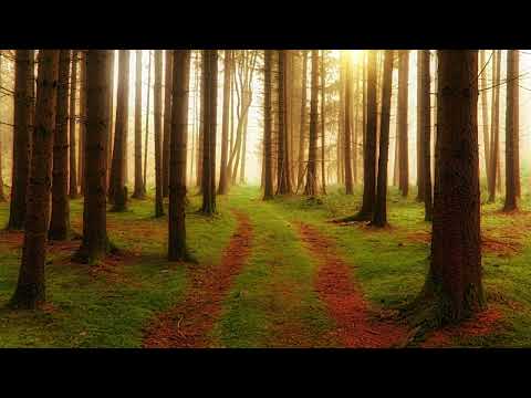 VATER VERLÄSST SEIN KIND NICHT....BEDRÄNGUNGEN IN DER ENDZEIT....