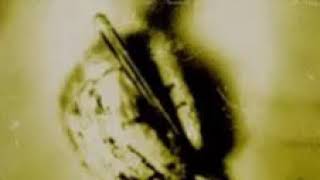 Sevendust - Feel So - Drumless