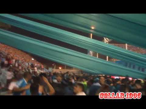 "DE PASARME LA VIDA, ALENTANDO A BELGRANO..." Barra: Los Piratas Celestes de Alberdi • Club: Belgrano • País: Argentina