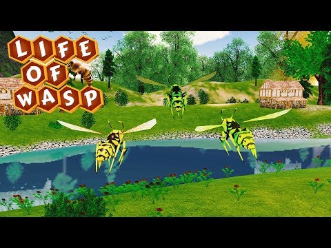 Life Of WASP - Insect Sim