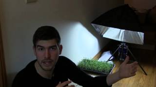 Complete Indoor Growlight Setup for less than $35!