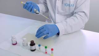 Türklab COVID-19 TOTAL lg ELISA Test Prosedürü