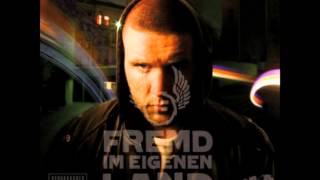 Fler feat Sido Therapie