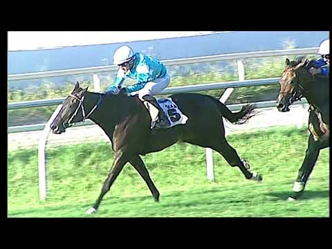 Napoli Galoppo 07/08/2021 - 1ª corsa