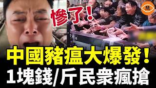 Re: [問卦] 中國豬價破底  台灣創新高有八卦嗎