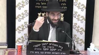 הרב משה יוסף • הלכות גובה נרות החנוכה