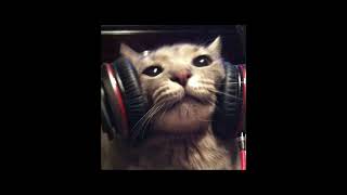 Cover art for LOVERS ROCK