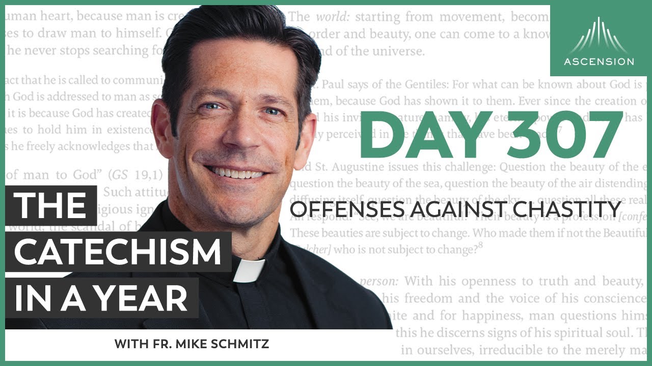 Day 307: Offenses Against Chastity — The Catechism in a Year (with Fr. Mike Schmitz)