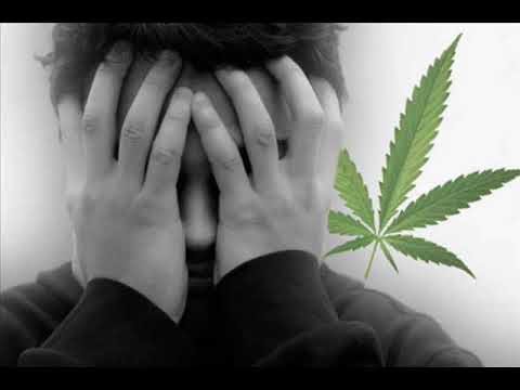 Mielna/Kolaboracja -  Nowy  początek