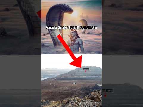 Vasuki Sanke fossil found here | Biggest Snake | Vasuki Indicus #vasuki #viral #gujarat #mahadev