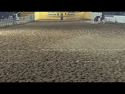 Vaquejada em Taquarana/Alagoas @agronordeste-rss