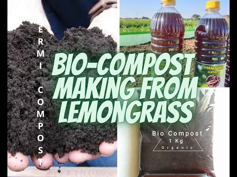Utilization of de-oiled Lemongrass citronella (post oil extraction)making Compost #deoiledlemongrass