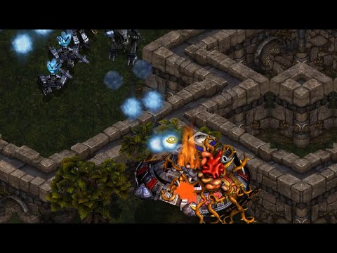 Beast (Z) v Flash (T) on Neo Sylphid - StarCraft - Brood War 2019