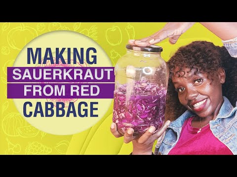How To Make Sauerkraut Using Red Cabbage