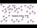Flea Counting Book