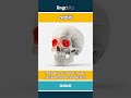 orbit - the bony eye socket in your... video thumbnail