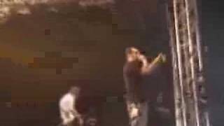 From Autumn To Ashes- Reflections