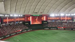 読売ジャイアンツ 重信慎之介 登場曲[Can&#39;t take my eyes off of you/Tommy february6]