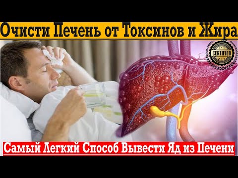 Самый лёгкий способ вывести токсины, жир и яд из печени!