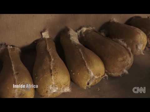 CNN Inside Africa: Magic of Marimbas | History of the Marimba of Southern Africa