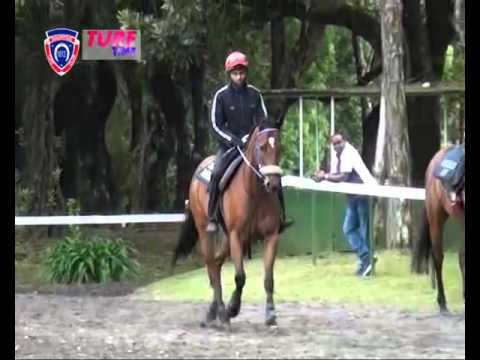 FLOREAL NEWS RACE MEETING 31