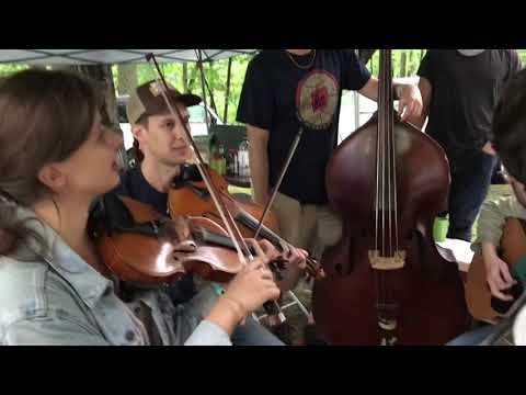 Old Joe Clark - AJ & Sami and Friends - Clifftop 2018