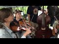 Old Joe Clark - AJ & Sami and Friends - Clifftop 2018