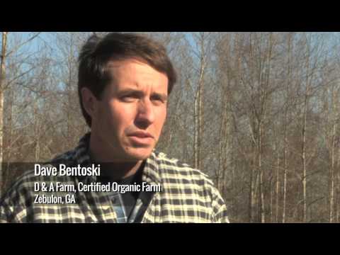 Organic Sound and Sensible Project -  Advice from the Field Experiences with Organic Systems Plans