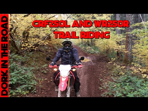 Muddy Dual Sport Trail Riding: Honda CRF250L and Yamaha WR250R at Huckleberry Flats OHV Area