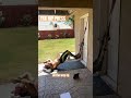 Trx Hip Press