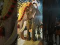 EROOR Pottayil Bhagavathy Kshethram MARCH 2022
