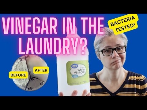 Does Vinegar Remove Bacteria in Laundry?  Bacteria Tested!