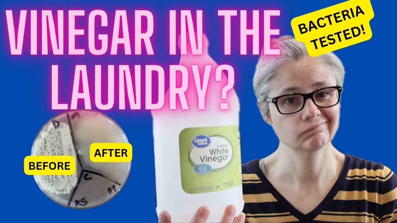 Does Vinegar Remove Bacteria in Laundry?  Bacteria Tested!