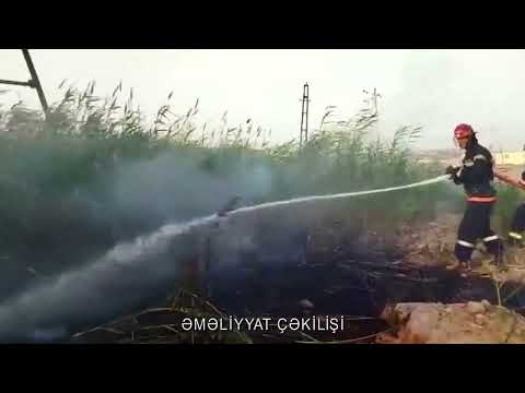 FHN Mətbuat xidmətinin məlumatı