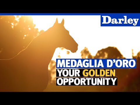 Medaglia d'Oro:  7 G1 winners in 2017