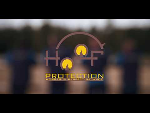 Imagevideo Hufschmied: Hoofprotection- Das Team der Spezialisten