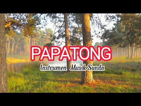 PAPATONG INSTRUMEN MUSIK SUNDA