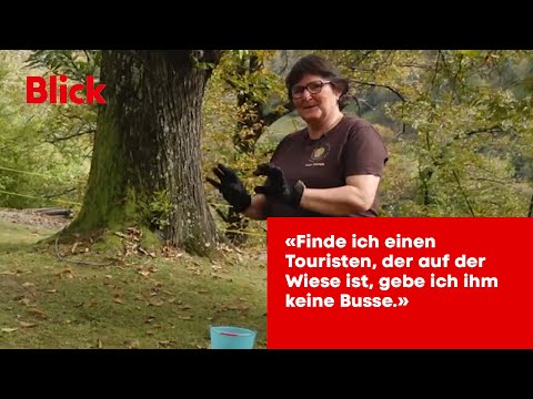 Chestnuts - from harvesting in the Grisons mountain village to sale