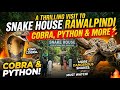 A Thrilling Visit to Snake House Rawalpindi | Ayub National Park | Cobra, Python & More