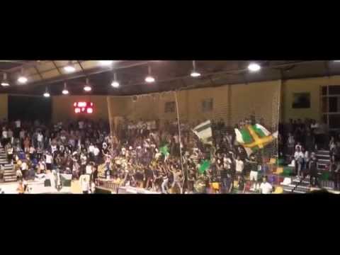 Elche C.F. Sala-Futsal Cartagena Pase final asenso 2ª División