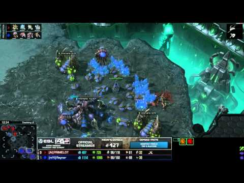 GO4SC2 427 - Reynor (Z) vs Primelot (P) - Ro8 - G2